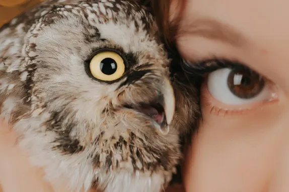 Kasino Loco Win Tuki